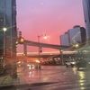 diana_nn